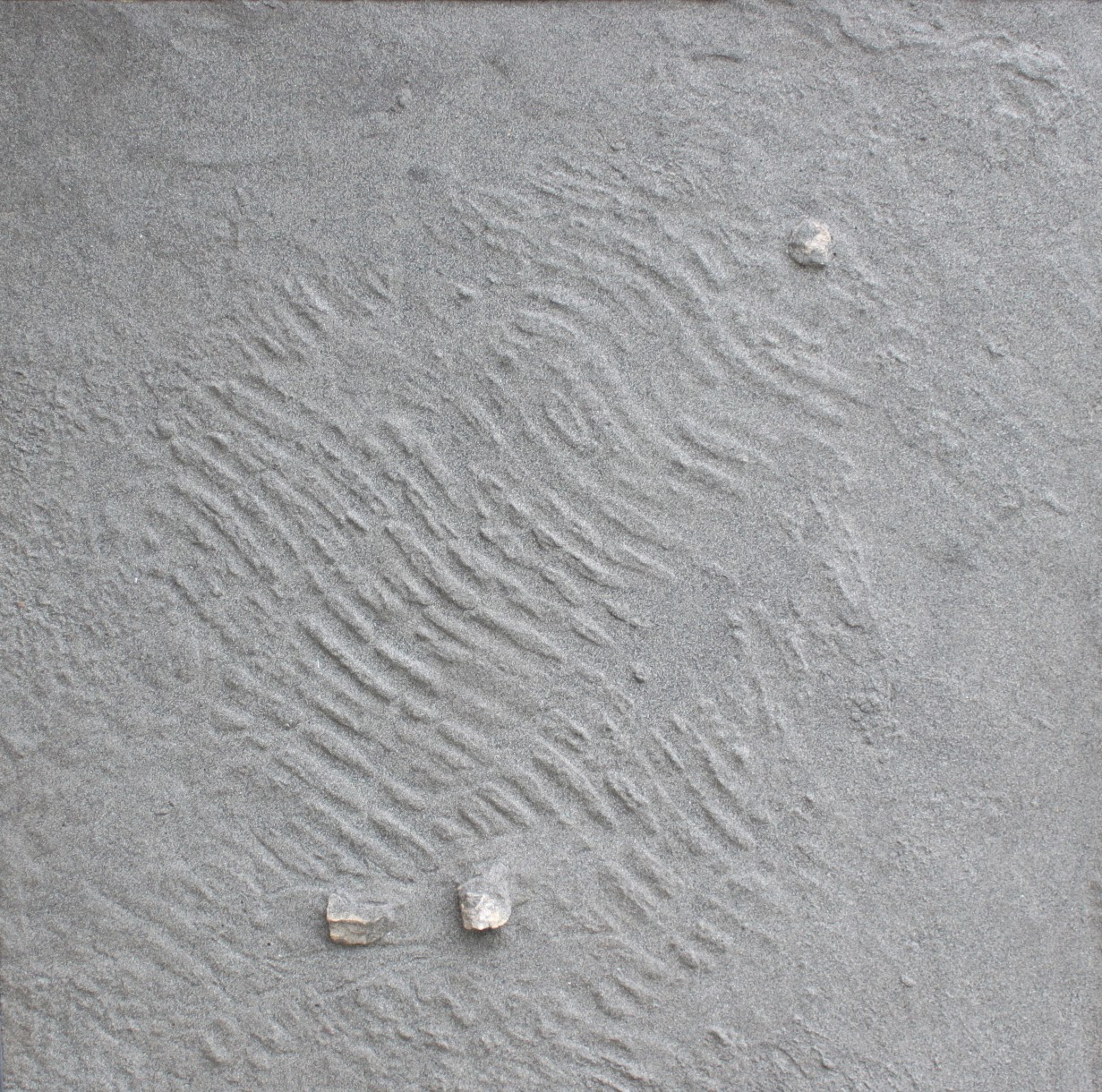 El Sablón/Playón de Bayas, obra de Antón García Secades