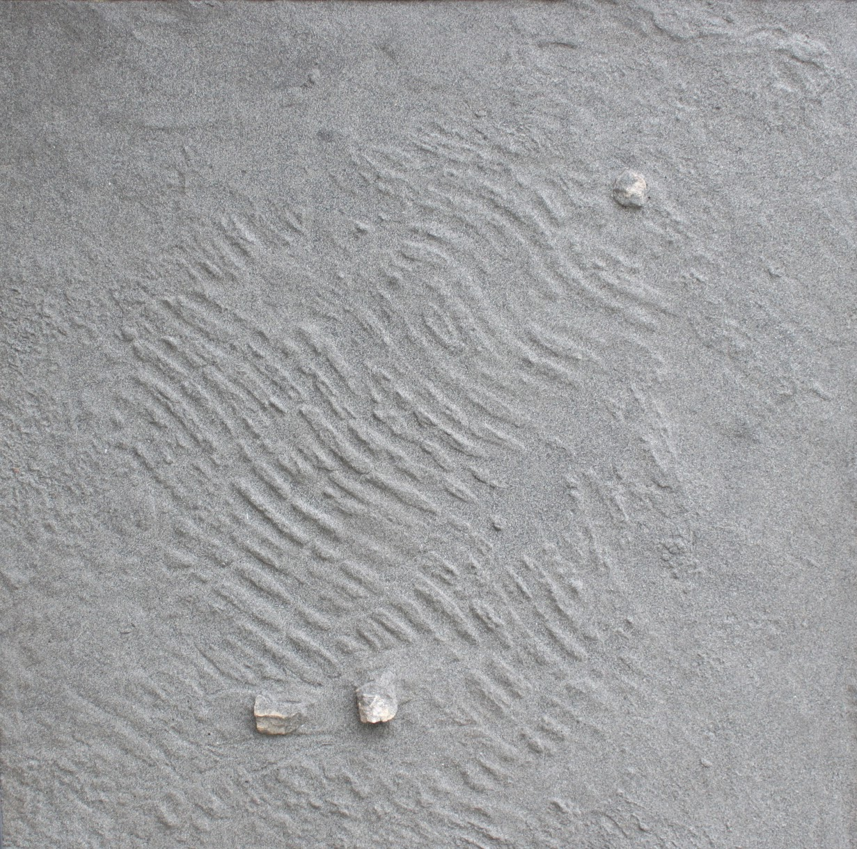El Sablón/Playón de Bayas, obra de Antón García Secades